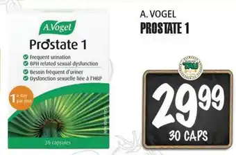 Marches Tau A. VOGEL PROSTATE 1 offer