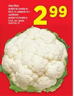 Maxi CHOU-FLEUR | CAULIFLOWER offer
