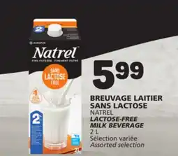 Marché Bonichoix NATREL LACTOSE-FREE MILK BEVERAGE offer