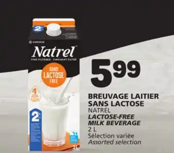 Marché Bonichoix NATREL LACTOSE-FREE MILK BEVERAGE offer