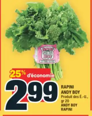 Super C RAPINI ANDY BOY | ANDY BOY RAPINI offer