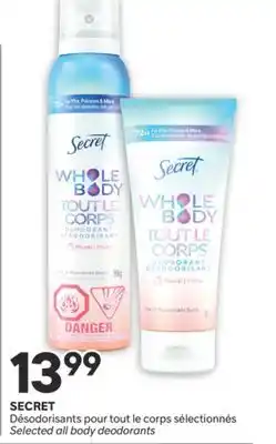 Brunet SECRET Désodorisants pour tout le corps sélectionnés offer