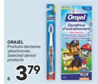 Brunet ORAJEL Produits dentaires sélectionnés offer