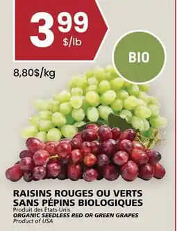 Rachelle-Bery Grocery ORGANIC SEEDLESS RED OR GREEN GRAPES offer