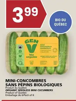 Rachelle-Bery Grocery ORGANIC SEEDLESS MINI CUCUMBERS offer