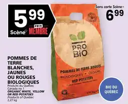 Rachelle-Bery Grocery ORGANIC WHITE, YELLOW OR RED POTATOES offer