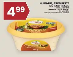 Rachelle-Bery Grocery FONTAINE SANTÉ HUMMUS, DIP OR SPREAD offer