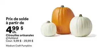 Michaels Citrouilles artisanales d'Ashland offer