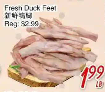 Foody Mart Fresh Duck Feet offer