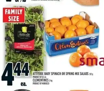 Metro Attitude Baby Spinach or Spring Mix Salads offer