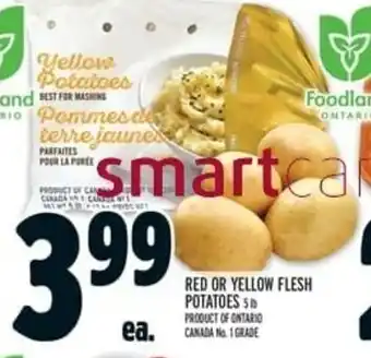 Metro Red or Yellow Flesh Potatoes offer