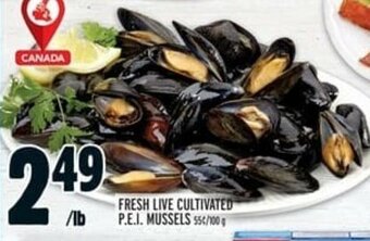 Metro Fresh Live Cultivated P.E.I Mussels offer