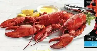 Metro Star of the Sea Canadian Lobsters offer