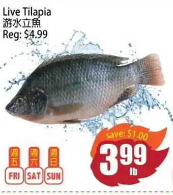 Field Fresh Supermarket Live Tilapia offer