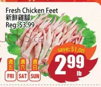 Fresh Chicken Feet