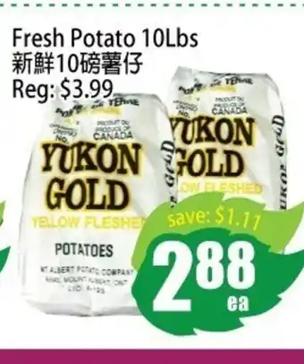 Field Fresh Supermarket Fresh Potato 10Lbs offer