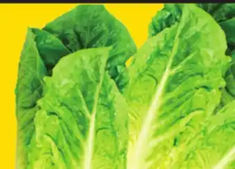 Giant Tiger 3 pack romaine hearts offer