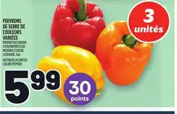 Metro POIVRONS DE SERRE DE COULEURS VARIÉES | HOTHOUSE ASSORTED COLORS PEPPERS offer