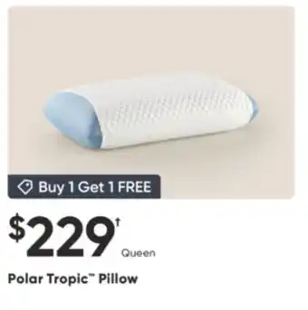 Dormez Vous Polar Tropic Pillow offer