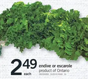 Fortinos ENDIVE OR ESCAROLE offer