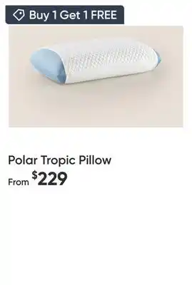 Sleep Country Polar Tropic Pillow offer