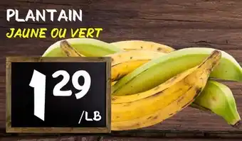 Marche Salaberry Plantain offer