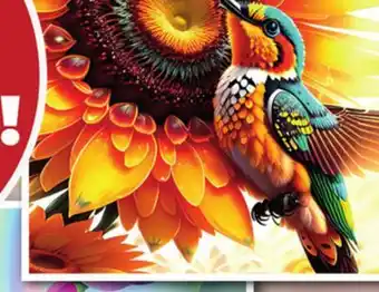 Showcase Studio Diamond Paintings offer