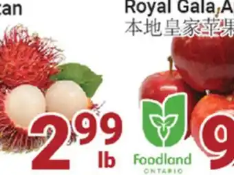 Oceans Fresh Food Market Rambutan offer