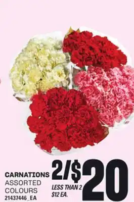 Loblaws CARNATIONS offer