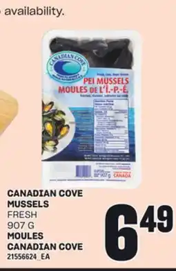 Independent City Market CANADIAN COVE MUSSELS, 907 G offer