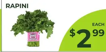 Food World Supermarket RAPINI offer