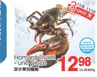 T&T Supermarket HOMARD VIVANT - UNE PINCE offer