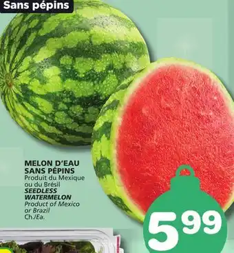 Marches Tradition SEEDLESS WATERMELON offer