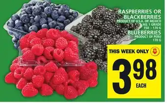 Food Basics RASPBERRIES OR BLACKBERRIES OR BLUEBERRIES offer