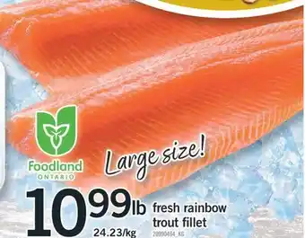 Fortinos FRESH RAINBOW TROUT FILLET offer