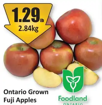 Starsky Ontario Grown Fuji Apples offer