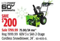 Canadian Tire GREENWORKS 60V 3 x 5Ah 2-Stage Cordless Snowblower, 24˝ offer