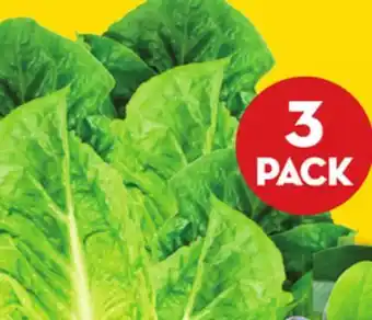 Giant Tiger 3 pack romaine hearts offer