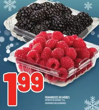 Metro FRAMBOISES OU MÛRES | RASPBERRIES OR BLACKBERRIES offer