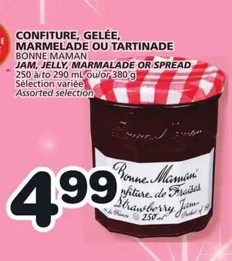 Marches Tradition BONNE MAMAN JAM, JELLY, MARMALADE OR SPREAD offer