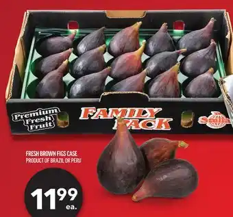 Metro FRESH BROWN FIGS CASE offer