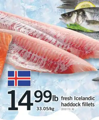 Fortinos FRESH ICELANDIC HADDOCK FILLETS offer