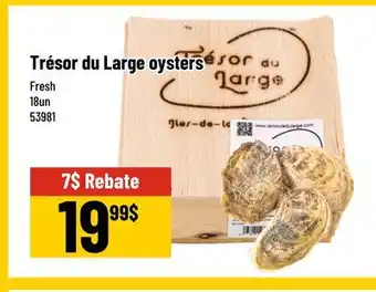 Mayrand Trésor du Large oysters offer