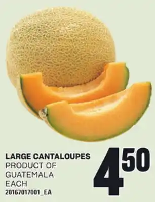 Loblaws LARGE CANTALOUPES offer