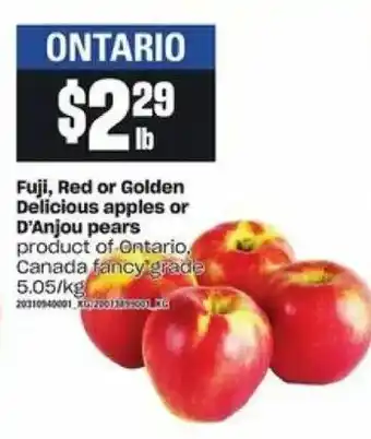 Loblaws Fuji, red or golden delicious apples offer
