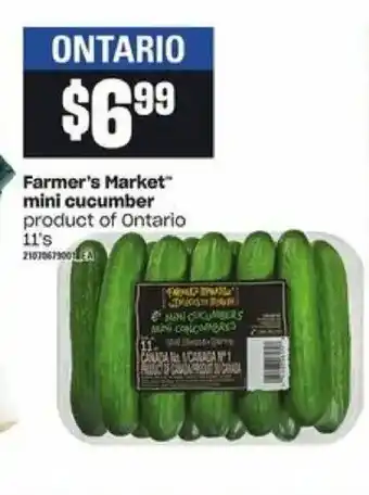 Loblaws Farmer's market mini cucumber offer
