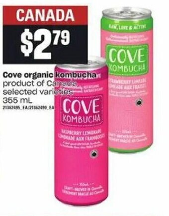 Loblaws Cove organic kombucha offer