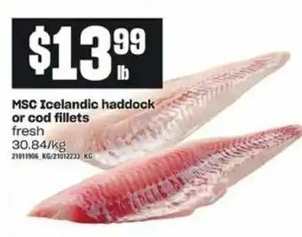 Loblaws MSC icelandic haddock or cod fillets offer