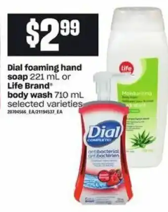 Loblaws Dial foaming hand soap offer