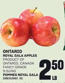 Independent City Market ONTARIO ROYAL GALA APPLES offer